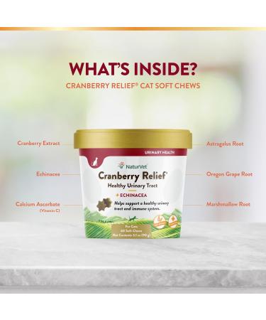 NaturVet Cranberry Relief & Echinacea Cat Soft Chew Cup Healthy Urinary 60ct - Buy Online on GoSupps.com