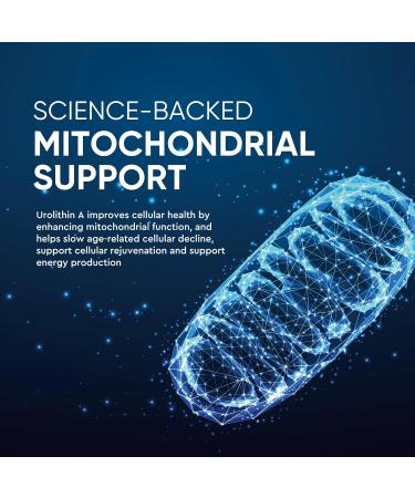 Urolithin A Supplement 1000 mg - Enhance Cellular Energy & Mitochondria Support | 90 Capsules - International Shipping Available - Buy Online on GoSupps.com