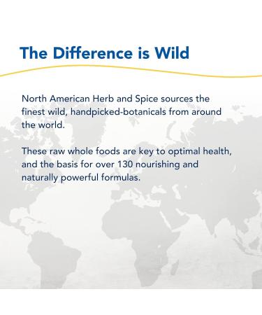 NORTH AMERICAN HERB & SPICE Oil of Black Seed Cream - Natural Skin Moisturizer for All Skin Types - Non-GMO - 2 fl oz - Buy Online on GoSupps.com