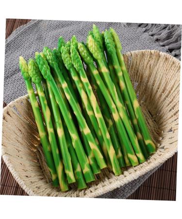 HOMSFOU 40 Pcs Simulated asparagus ornaments rustic decor plastic flower vase cabinet decor vegetable fruit ornament decorative vegetables lifelike Simulated Asparagus Models cupboard fake - Buy Online on GoSupps.com
