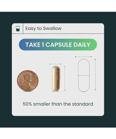 Pure Prana Ayurvedic Heart Health Supplement - Arjuna Bark & Hawthorn with CoQ10 Beet Root & Grape Seed for Cardiovascular Support & Blood Pressure - Vegan Capsules - Non-GMO Gluten Free - Buy Online on GoSupps.com