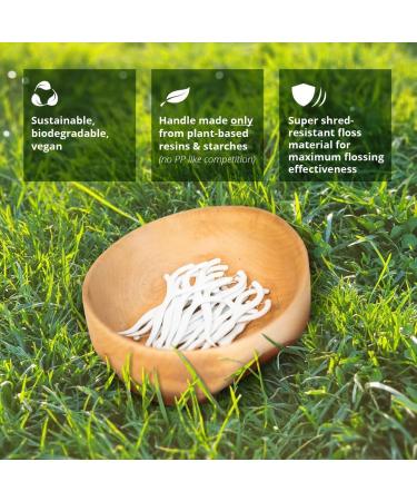 Clean Idea EcoFlosser - 300 Biodegradable Floss Picks for Sustainable Dental Care - Buy Online on GoSupps.com