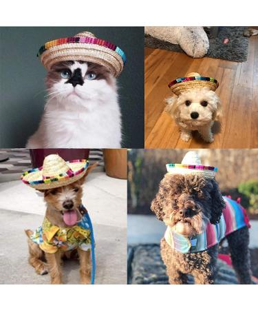AWOCAN Pet Straw Hat Funny Mexican Sombrero Cap Party Decorations for Birthday for Small Pets/Puppy/Cat - Buy Online on GoSupps.com