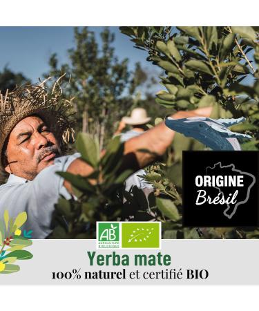 Origeens Organic Yerba Mate Tea with Mint and Lemon 200g - Le Frais | Energy and Detox Drink | Unroasted Leaves | Stalk-Free | Mint-Lemon Flavor - Buy Online on GoSupps.com