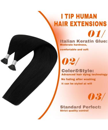 Sunny Hair I Tip Hair Extensions - 50S Pre Bonded Jet Black Human Hair 20 Inch | Cold Fusion I Tip Extensions for Women - Buy Online on GoSupps.com