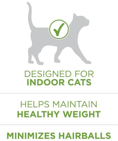 Purina ONE True Instinct High Protein Dry Dog Food Beef & Bison - 12.4 kg Bag & +Plus Dry Cat Food Indoor Advantage Turkey - 7.2 kg Bag - Buy Online on GoSupps.com