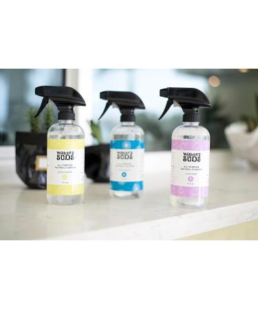 Molly's Suds Natural All Purpose Cleaner - Multi Surface Spray (Lemon Burst 16 oz 2 Pack) | Plant Powered & Bio-Based Ingredients - Eco-Friendly Household Cleaning Solution - Buy Online on GoSupps.com