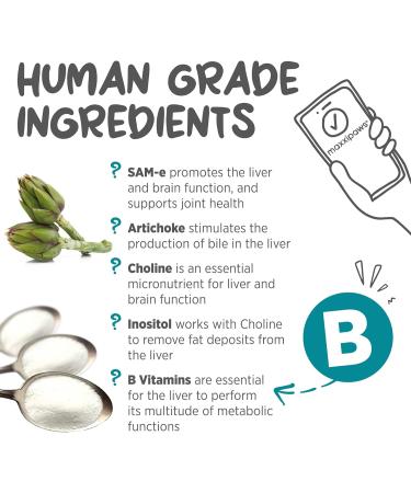 maxxipaws maxxiSAMe Advanced SAM-e Liver and Cognitive Supplement for Cats Given with Food Powder 90 g 90 count (Pack of 1) - Buy Online on GoSupps.com