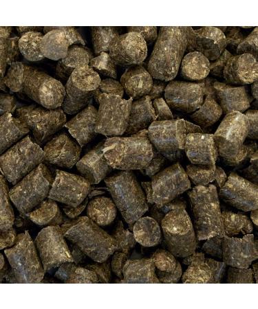 M hldorfer NaturHupferl Apple - 1 kg | Healthy Grain-Free Horse Treats | No Molasses or Additives - Buy Online on GoSupps.com