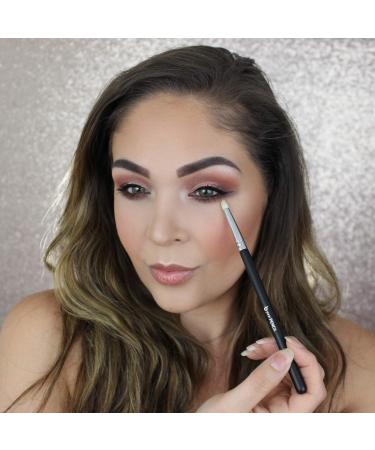 Buy Basic Eyeshadow Makeup Brush Set - 4pc Professional Eye Makeup Brushes for Blending & Smudging | Affordable Beauty Junkees - Buy Online on GoSupps.com