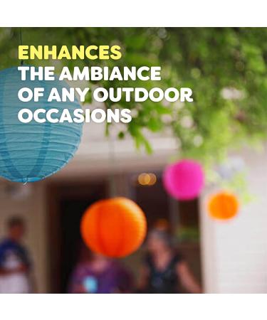 OFF! Backyard Citronella Candle Triple Wick - 23 oz (Pack of 6) | Long-Lasting Ambiance Enhancing Centerpiece | Burns up to 50 Hours - Buy Online on GoSupps.com