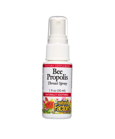 Natural Factors Bee Propolis Throat Spray 1 fl oz (30 ml)