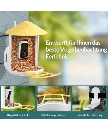 Birdfy Bird Feeder with Camera - AI Detection Video Recording & Solar Powered - Ideal for Wild Bird Feeding - Buy Online on GoSupps.com