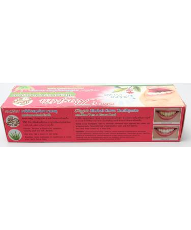 Rasyan Herbal Clove Toothpaste 100g - Aloe Vera & Guava Leaf for Healthy White Teeth & Fresh Breath | Made in Thailand - International Shipping Available - Buy Online on GoSupps.com