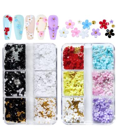 3D Flower Nail Charms  TEOYALL 2 Boxes Acrylic Flowers for Nail Art Design with Gold and Silver Caviar Beads Manicure DIY Decorations (2 Multicolor)