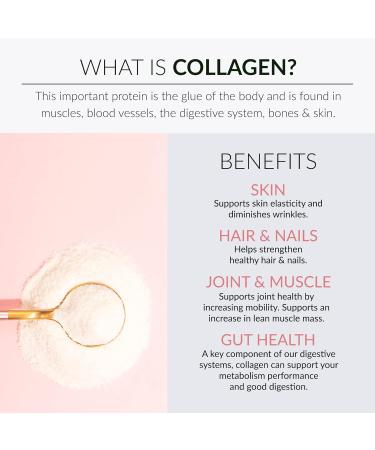 Alaya Multi Collagen Powder - Type I, II, III, V, X Hydrolyzed Collagen Peptides Protein Powder Supplement with MSM + GC (Raspberry Lemonade) - Buy Online on GoSupps.com