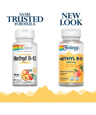 SOLARAY B12 Methyl Lozenge Supplement 2500mcg - 60 Count | Fast-Acting Formula - Buy Online on GoSupps.com