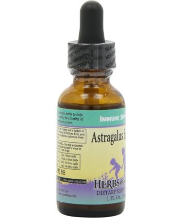 Astragalus Extract Liquid for Kids - 1oz | Immune Support Herbal Supplement - Buy Online on GoSupps.com
