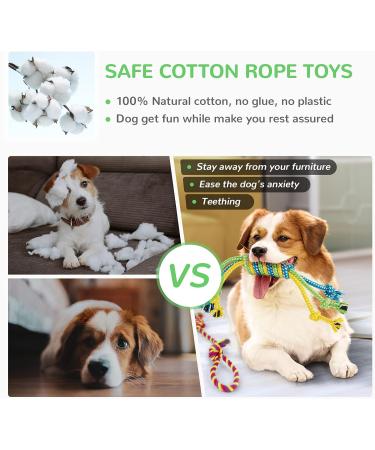 12 Piece Cute Plush Squeak Dog Toys Set | Natural Cotton Puppy Rope & Chicken Tools for Pets | Perfect for Dogs & Puppies - International Shipping - Buy Online on GoSupps.com
