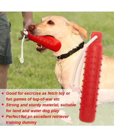 Holoras Dog Swimming Toys - Interactive Retriever Dummies for Small Medium & Large Dogs | Best Pool & Training Toys - Buy Online on GoSupps.com