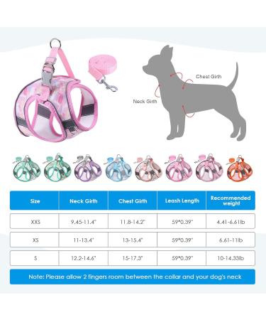 BriFit Cat Dishes with 150cm Leash - High Quality Breakfast Set for Cats & Small Dogs (Pink XS) - Perfect for Pets 6.61-1lb - Buy Online on GoSupps.com