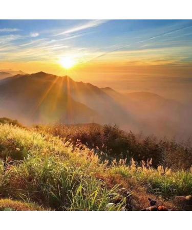 HQZM High Mountain Oolong Tea 250g * 2 Bags Strong Fragrance First Class Dongding Oolong - Buy Online on GoSupps.com