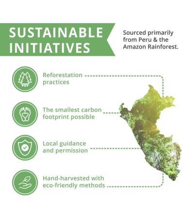 NutraMedix Serrapeptase with Inulin - 120 Vegetable Capsules for Natural Relief - Buy Online on GoSupps.com