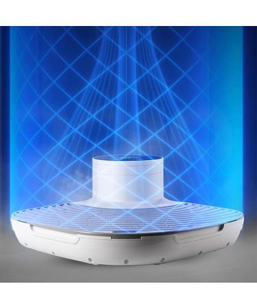 Electric Full Body Dryer Negative Ions Full Body Dryer Foot Dryer with WithWeightScale 2 Gears Adjustment Quick Air Drying Heating and Cooling for Home and Bathroom - Buy Online on GoSupps.com