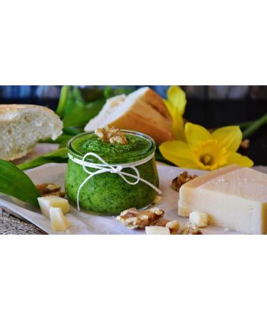 Bresc Wild Garlic Pesto 2x450g - Gourmet Green Pesto with Basil Pecorino & Pine Nuts - Intense Flavor for Cold & Warm Dishes - International Shipping Available - Buy Online on GoSupps.com