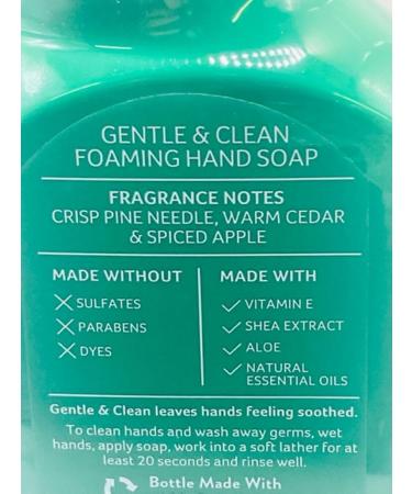 Tree Farm Gentle Foaming Hand Soap - 8.75 oz Pump Bottle | White Barn - Shop Internationally for Premium Hand Soap - Buy Online on GoSupps.com