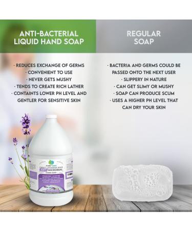 Plainly Earth Sweet Lavender Rose Antibacterial Liquid Hand Soap - 1 Gallon Refill Bottle | Cruelty Free, Moisturizing Formula - Buy Online on GoSupps.com