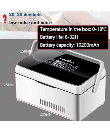BYERZ BYERZ LED Display Mini-cool Box Car Cooling Box Cool Box Electrical Insulin Cooling Bag Car Refrigerator Diabetes Bag Medication Cooling Box Cool Box Small Medication Fridge 1 Battery - Buy Online on GoSupps.com