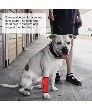 Dog Leg Protector Red Color Pet Knee Brace Dog Kneepads for Pet Knee Puppy(red XL) - Buy Online on GoSupps.com