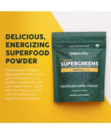 Paleovalley Organic Supergreens Powder - 23 Superfoods with Prebiotic Fiber for Energy and Immunity Support - No Cereal Grasses for Maximum Absorption - Tropical, 30 Servings Tropical 7.84 Ounce (Pack of 1) - Buy Online on GoSupps.com