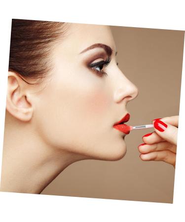 DOITOOL 4 Sets Lip Mask Brush Boxed Silica Gel Jacket - Buy Online on GoSupps.com