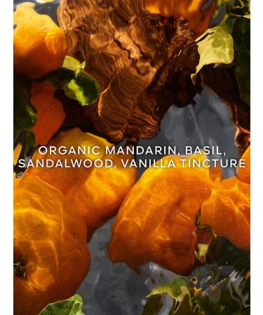 GUERLAIN Aqua Allegoria Mandarine Basilic Forte EDP 75ml Citrus Floral Orange 2.54 Fl Oz (Pack of 1) - Buy Online on GoSupps.com