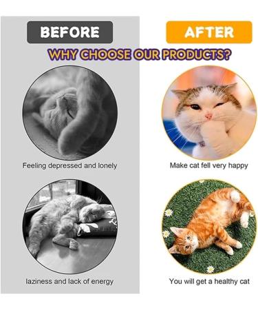 Cat Coil Toy Kitten Play Tunnel S-type Foldable Pet Tunnel Spiral Cat Toy Indoor Cat Tunnel Toy For Enhance Agility S-type Cat Tunnel Toy Collapsible Cat Tunnel for Indoor Cats - Buy Online on GoSupps.com