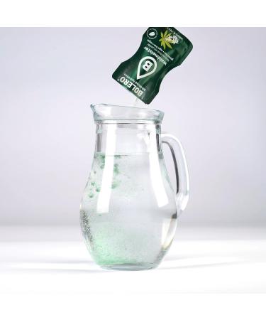 WALDMEISTER Bolero 24x3g | Sugar Free Juice Powder Sweetened with Stevia + Vitamin C | for Kids and Sports | Gluten Free Ve - Buy Online on GoSupps.com