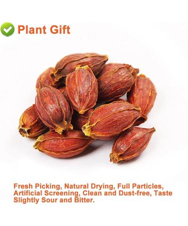 100% Dried Gardenia Fruit 3.52oz/100g de gard nia Le connaisseur Gardenia sec Gardenia Tea tisane naturelle sans additifs sans soufre herbes chinoises | Cape jasmin - Buy Online on GoSupps.com