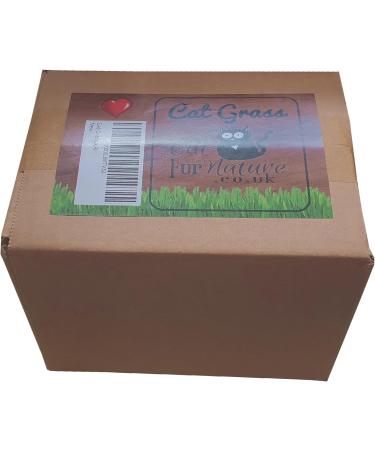Cat Grass Barley 3 Pack by Cat FurNature - Buy Online on GoSupps.com