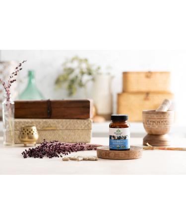 Organic India Full Breath Respiratory Support - 90 Veg Caps | Natural Respiratory Help - Buy Online on GoSupps.com