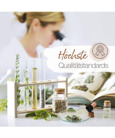 B rbel Drexel Brain Active Tablets - 100% Vegan Brahmi & Lecithin | Boost Concentration & Memory | Ayurveda - 90 STK - Buy Online on GoSupps.com