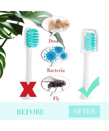 24 Pack Reusable Transparent Toothbrush Covers for Electric Toothbrush Replacement Heads - Buy Online on GoSupps.com