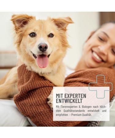 Reavet Care XL Dog & Cat Wet Wipes - 400 Hypoallergenic Extra Large Cleaning Towels for Paws Eyes & Ears | Tearproof & Gentle Care - Buy Online on GoSupps.com