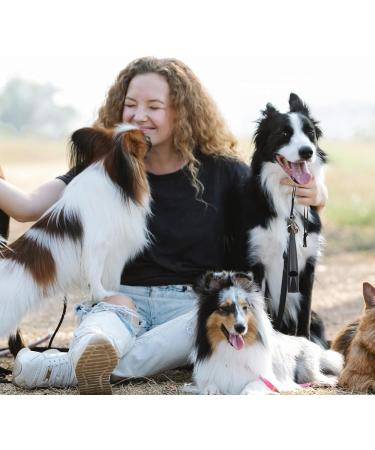 Karjiaja 2-Piece Dog Whistle Set | Loud Training Pipe for Effective Dog Education | Optimal Frequency Dog Accessories for International Shipping - Buy Online on GoSupps.com