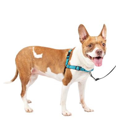 PetSafe Easy Walk Deluxe Harness No-Pull Walking Harness for Dogs Padded Design Includes 1.8m Leash Medium Ocean Blue/Black