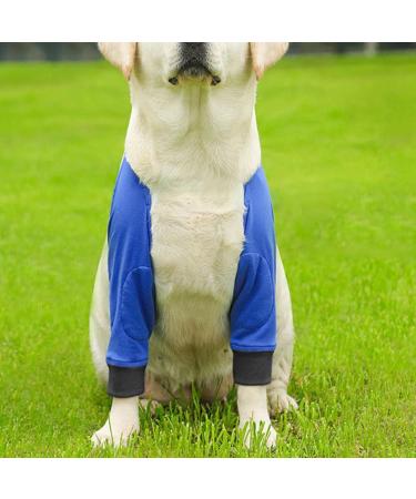 Dog Front Leg Brace 1 Pair Dog Joint Protective Cover Stain-Resistant Pet Recovery Knee Pad for Medium Dog Breathable Wear-Resistant Blue S - Buy Online on GoSupps.com