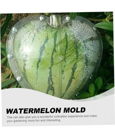 Hoement Fruit Shaping Molds Fruit Vegetables Square Tool Watermelon Shaping Grow Mold Cooking Utensils Strawberry Pumpkin 17x17cm Transparent - Buy Online on GoSupps.com