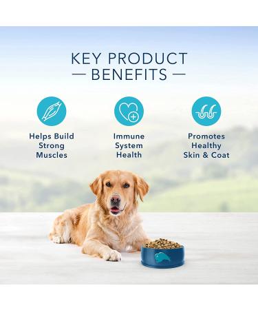 Buy Blue Buffalo Life Protection Formula Natural Adult Dry Dog Food - Premium Nutrition for Your Dog - Buy Online on GoSupps.com