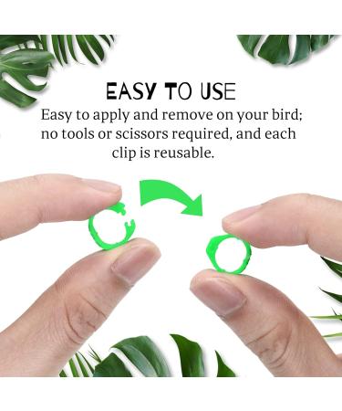 Andiker 100 Pigeon Identification Rings - 8mm Plastic Leg Bands for Birds Parrots Pigeons & Quails (Green) | International Shipping - Buy Online on GoSupps.com